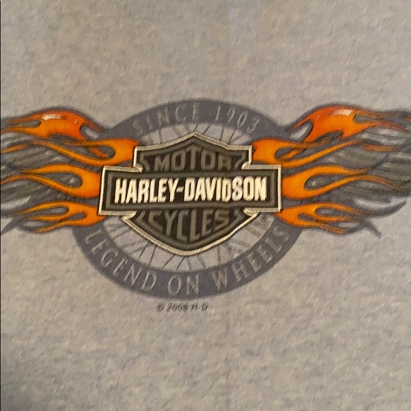 Harley - Picture 2 of 5